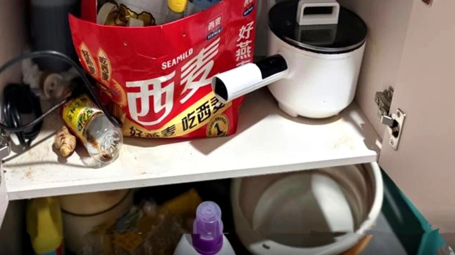 龙港中医院开展 龙港中医院开展